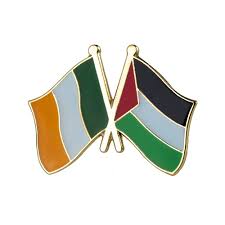 Ireland and Palestine Flag Pin